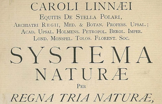 Systema Naturae by Linnaeus